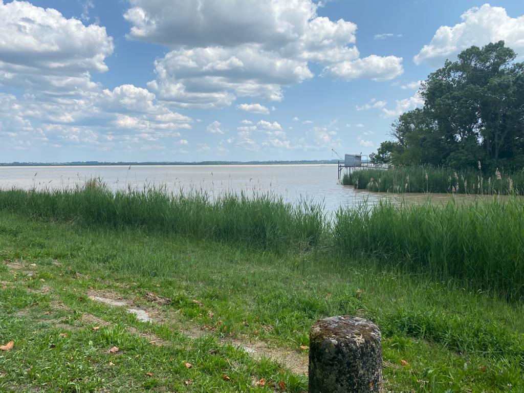 Image média: Carrelet en Garonne 