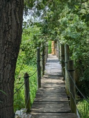 PhotoPasserelleCarrelet