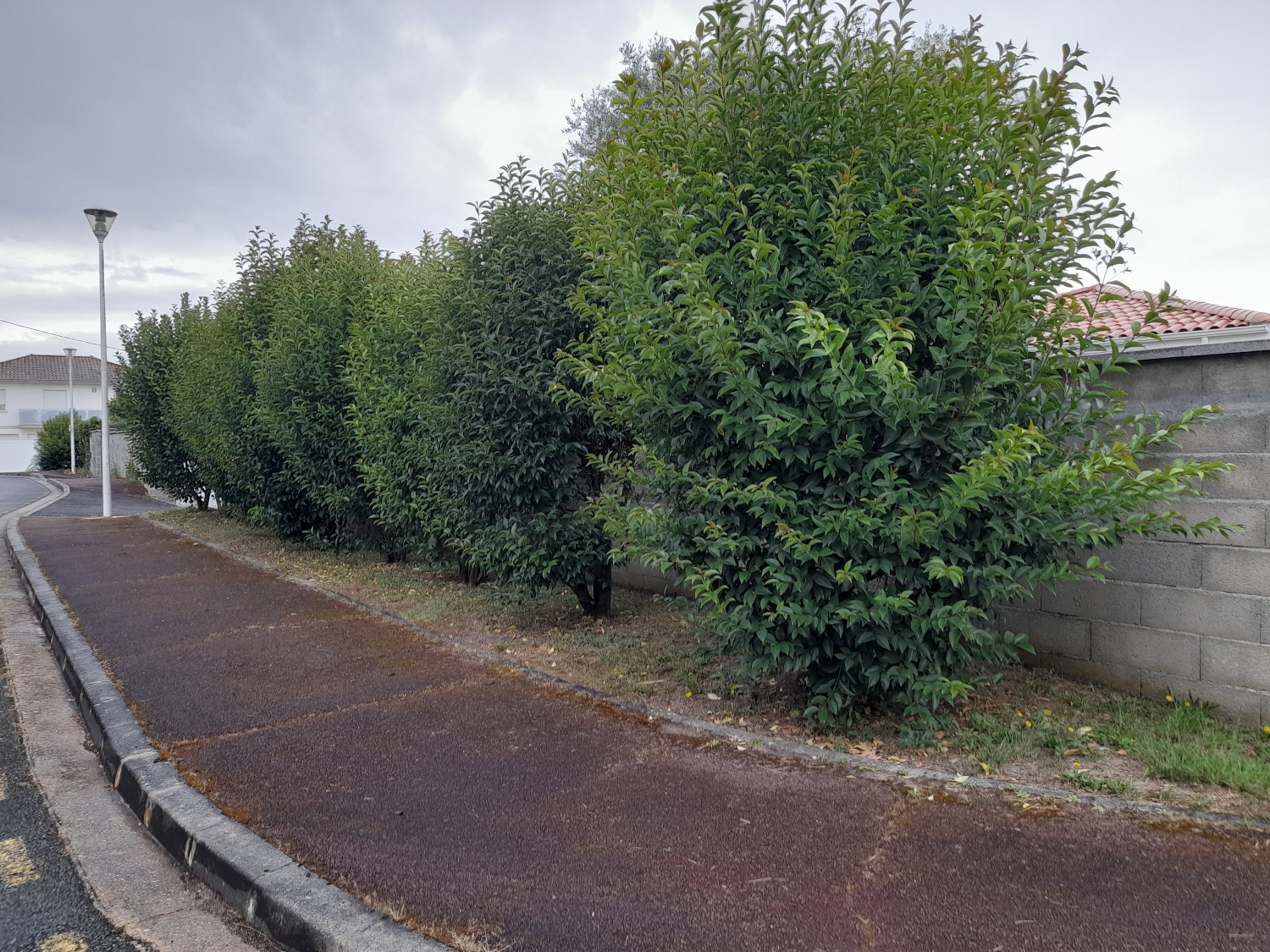 Image média: Classement d’office et plans d’alignement – Parcelles cadastrales situées Allée du Capitaine et Allée des Chanterelles (Villenave d’Ornon)