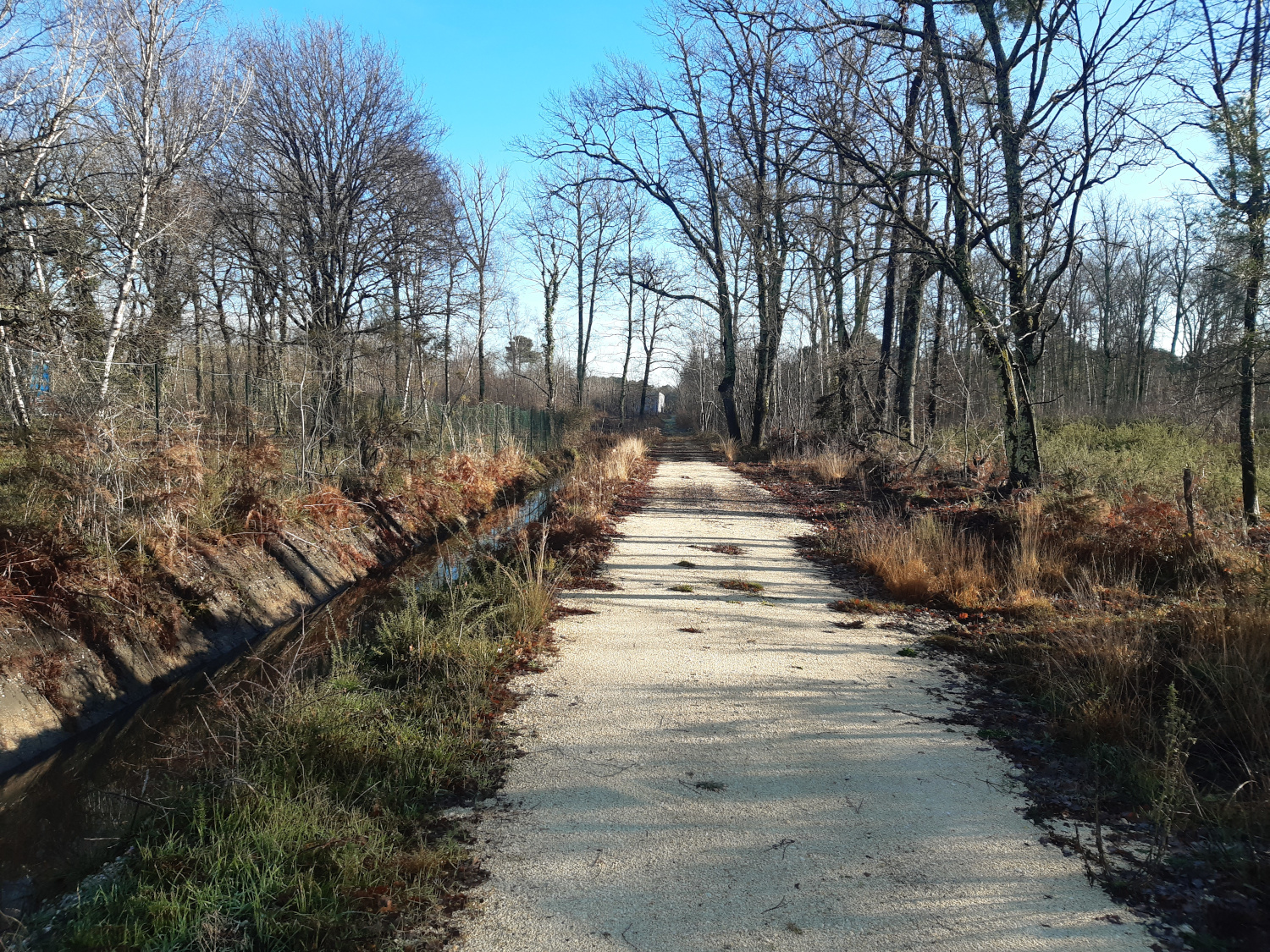 Image média: Opération d&#39;intérêt métropolitain (OIM) Bordeaux Aéroparc (Mérignac - Le Haillan) : Aménagement du chemin des Boucheries
