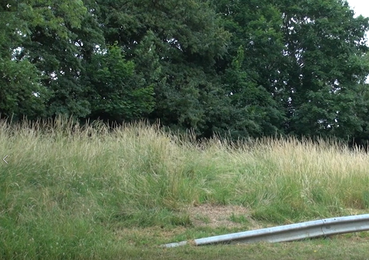 Image média: Floirac - Permaculture en Gironde -  La parcelle en permaculture 