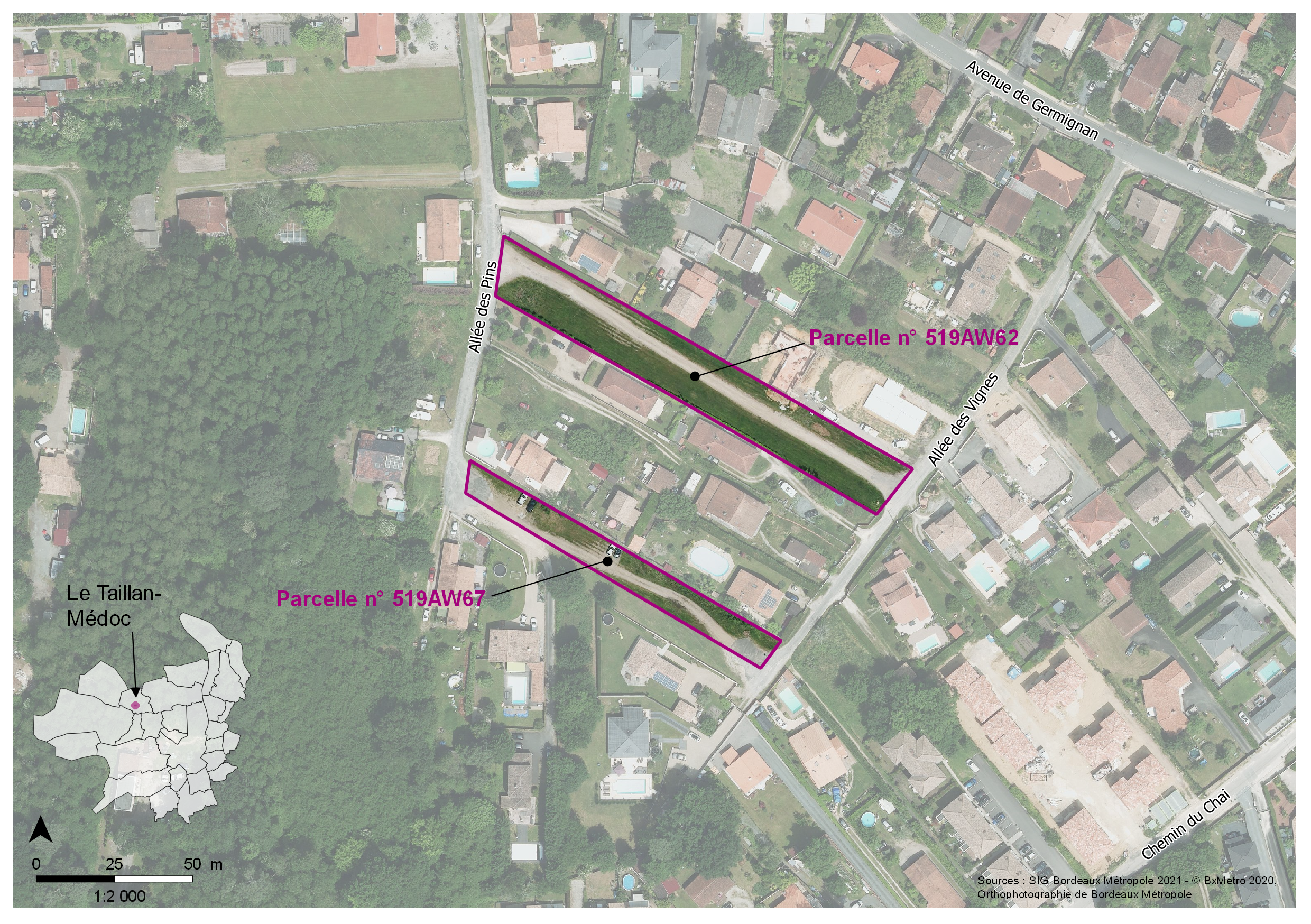 Image média: Le Taillan-Médoc, allées des pins et des vignes 