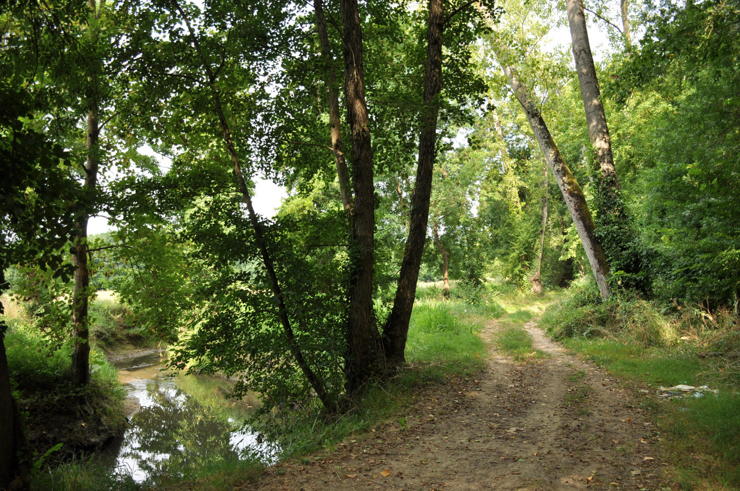 Image média: Ambarès-et-Lagrave (ZAC Centre-Ville Secteur A) Mise à disposition de l'étude d'impact et autorisation de défrichement