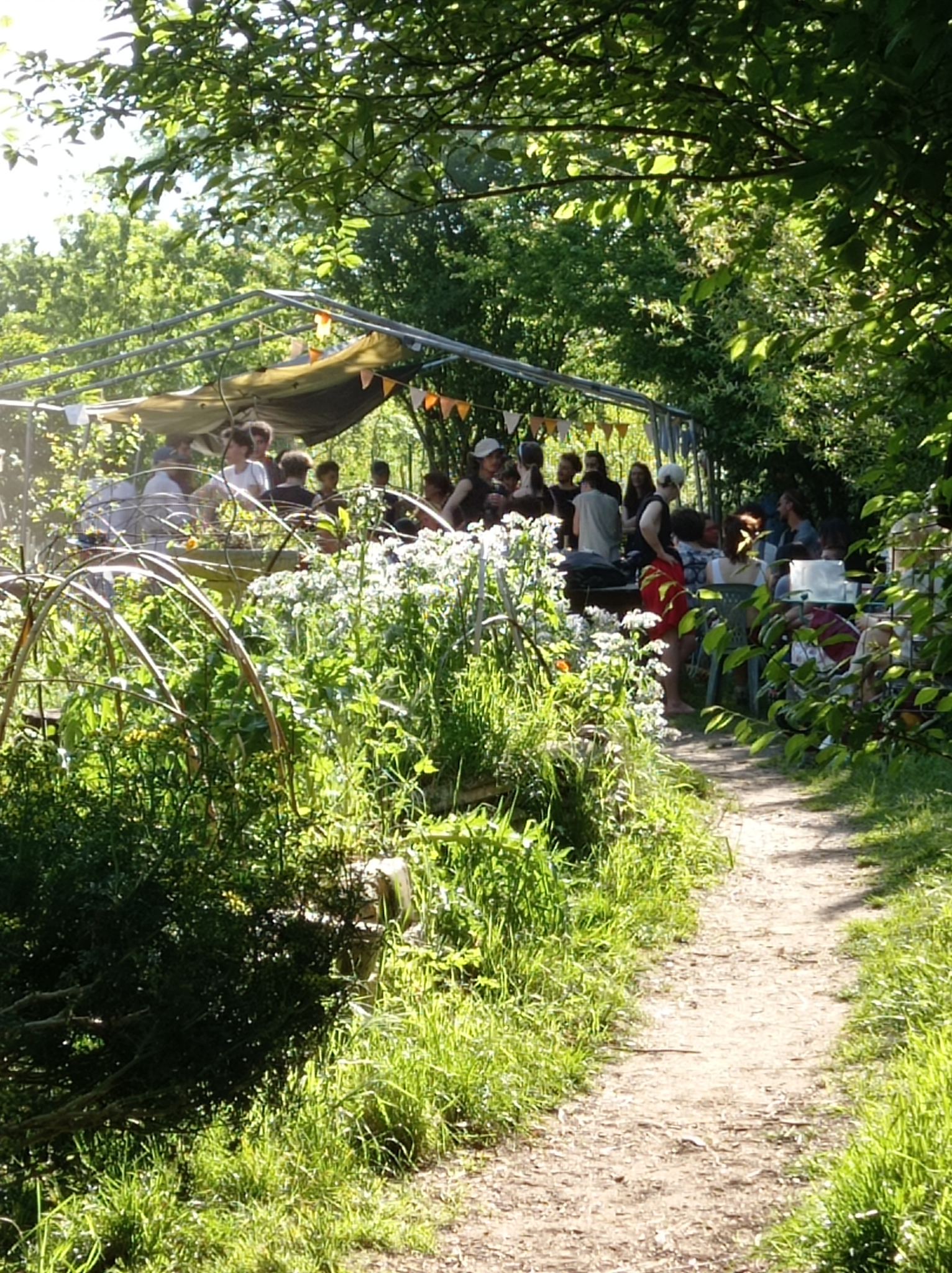 Image média: Nature à Bègles : renaturation et régénération d'une friche urbaine