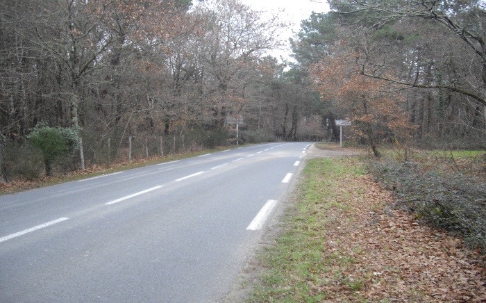 Image média: PAE des vignes à Saint-Aubin de Médoc : étude d’impact environnemental