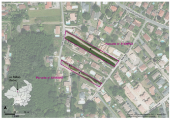 Carte_parcelles_LeTaillan519AW62-67.png