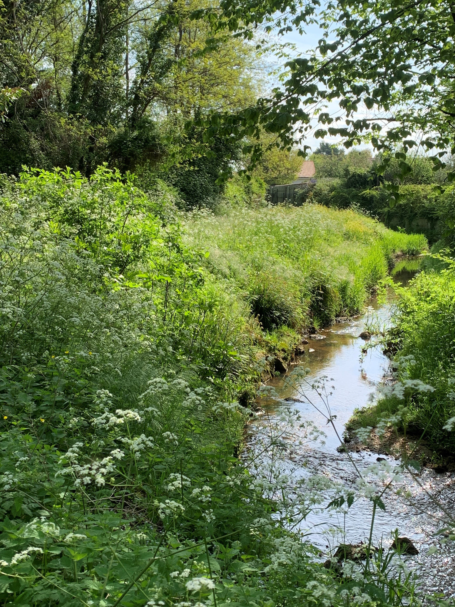 Image média: Améliorer la gestion écologique et hydraulique du Peugue