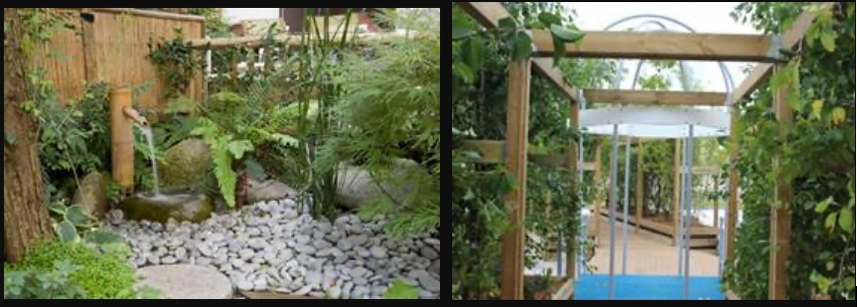 Image média: Le retour des charmilles 