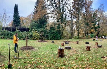 Racines Pontaulic_2.jpeg