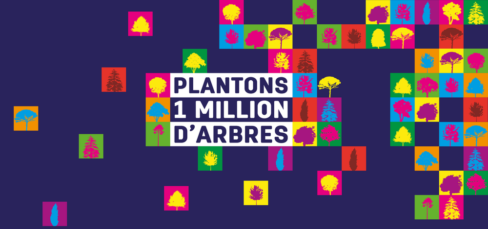 Image média: Budget Participatif Métropolitain 2021-2022