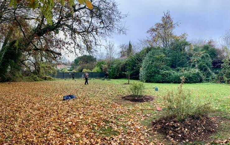 Image média: Bègles - Les racines de Pontaulic - Le petit parc gourmand 