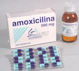 Commander amoxicillin