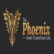 Portrait de The Phoenix Asset Consortium Ltd